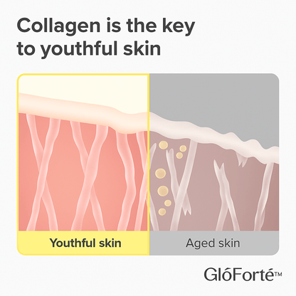 GlōForté™ Deep Collagen Concentrate Serum