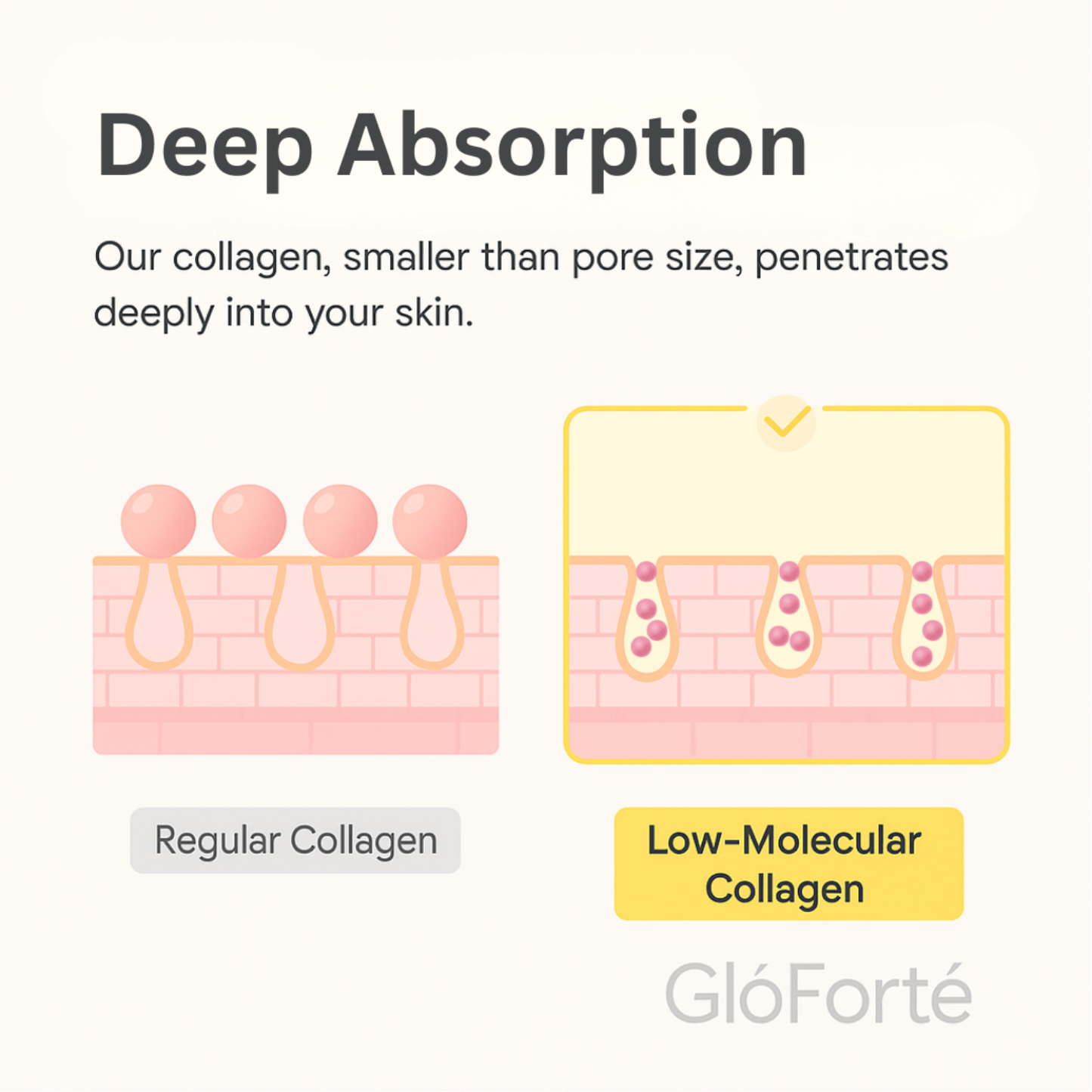 GlōForté™ Deep Collagen Concentrate Serum